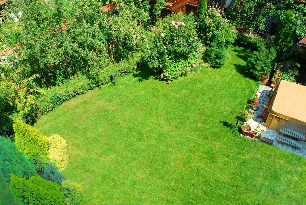 Guest House Chicho Tsane Bansko Bagian luar foto